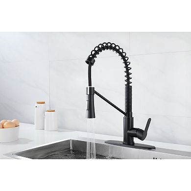 Single-Hole Pull-Down Kitchen Faucet with Stream and Spray Function
