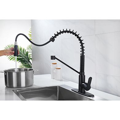 Single-Hole Pull-Down Kitchen Faucet with Stream and Spray Function