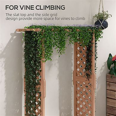 Raised Garden Bed with Side Trellises and Roof for Vegetables, Herbs, Flowers