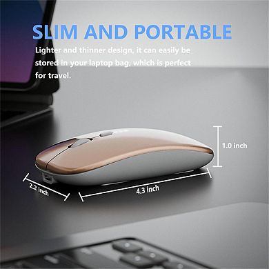 Type-C Silent Bluetooth Mouse - 2.4G/BT Dual Mode, LED Battery Display, RGB Light, Quiet Click