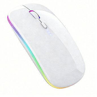 Type-C Silent Bluetooth Mouse - 2.4G/BT Dual Mode, LED Battery Display, RGB Light, Quiet Click