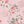 Flower Clusters Pink