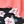 Black Pink Flower