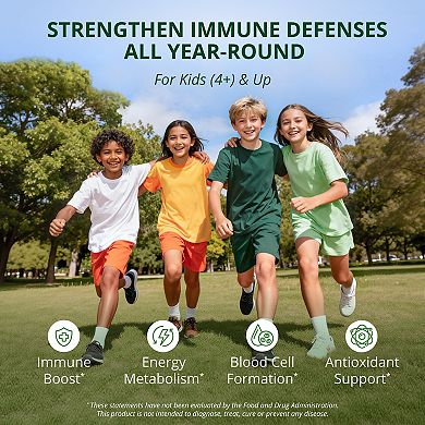 Immune Gummies - Kids Immune Booster with Iron, Zinc, Vit C, D2, A & B-Complex, 60 Raspberry Gummies