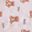 Teddies Pink