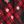 Red Plaid
