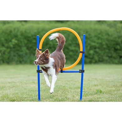 Dog Agility Jumping Ring Training Set