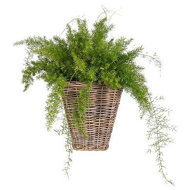 Saboga Home™ Square Tapered Planter with Black Plastic Insert