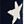 Navy Star