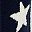 Navy Star