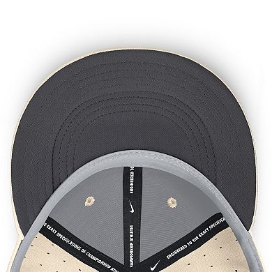 Men's Nike Natural San Francisco Giants True Dri-FIT AeroBill Fitted Hat