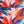 Colorful Leaves