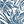 Blue Plam Leaf