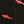 Pattern Red Shark