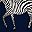 Pattern Zebra