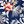 Navy Blue Flowers