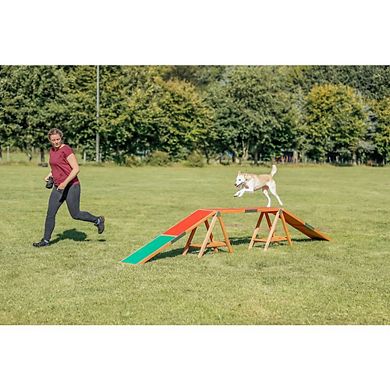 Dog Agility Dogwalk, Obstacle Training