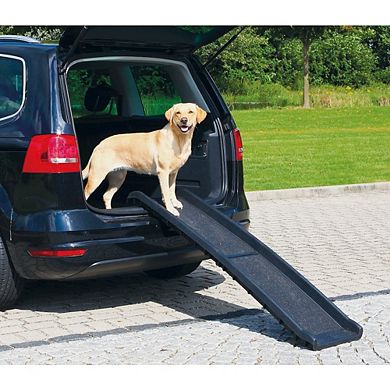 Foldable Non-Slip 62" Long Plastic Pet Ramp, Black, 200 lb Limit