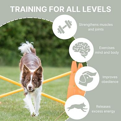 Dog Agility Hurdle Cone Set, Obstacle Training