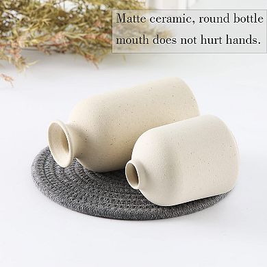3-piece Ceramic Vase Set Small Modern Bohemian Farmhouse Style Reed Dried Flowers Decoration