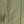 Olivine Green
