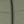 Olivine Green