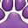 Purple White