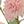 Pink Green