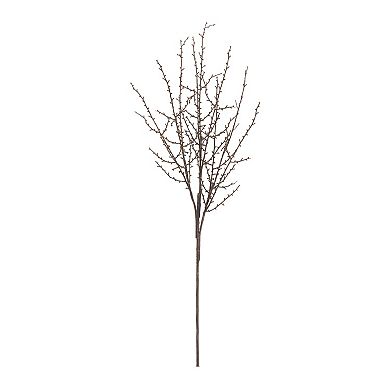 Set of 6 Birch Twig Branches for Tall Vases, Floor Arrangements, and Home Decor