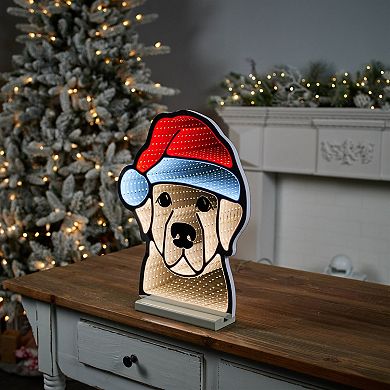 Lighted Dog with Santa Hat Decoration with Infinity Light Effect for Indoor, Covered Outdoor Display