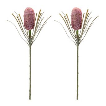 Set of 2 Protea Floral Stems for Vases, Centerpieces, Wreaths, and Seasonal Decor