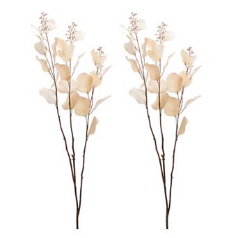 Set of 2 Eucalyptus Stems for Home Decor and Floral Arrangements