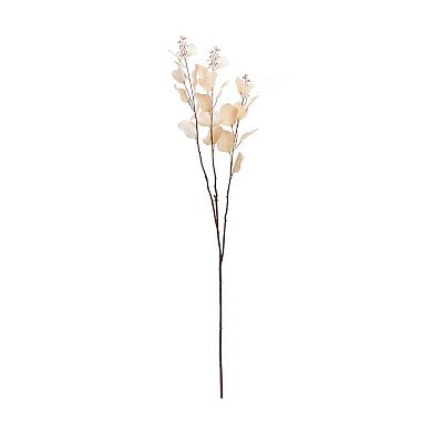 Set of 2 Eucalyptus Stems for Home Decor and Floral Arrangements