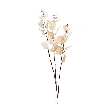 Set of 2 Eucalyptus Stems for Home Decor and Floral Arrangements