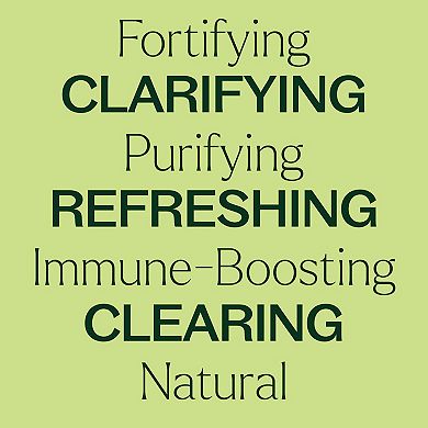 Plant Therapy Wellness Sampler 3 Essential Oil Set