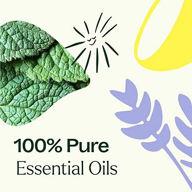 Plant Therapy Lemon, Lavender and Peppermint Essential Oil Set