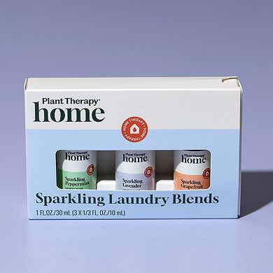 Plant Therapy Sparkling Laundry 3 Essential Oil Blends Set