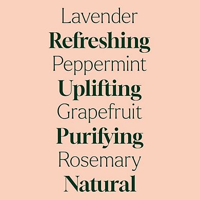 Plant Therapy Sparkling Laundry 3 Essential Oil Blends Set