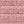 Bridal Rose