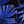 Bluetropical
