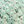 Green Yellow Floral