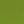 Grass Green