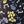 Black Flower