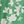 Green White