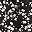 Black Flower
