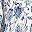 White Floral Border