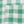 Vivid Green Check