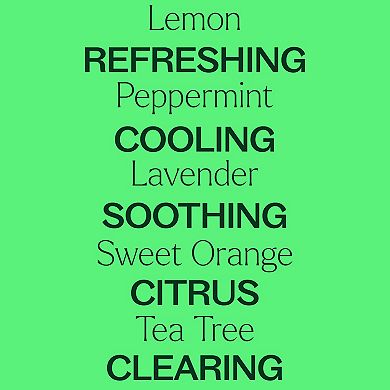 Plant Therapy Top 14 Essential Oil Singles Set