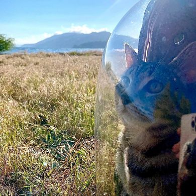 Breathable Bubble Cat Backpack Carrier