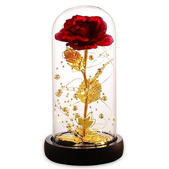 Beauty and the Beast Rose Glass Dome Women Mother Birthday Christmas Couple Gift